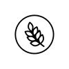 Maison Marou